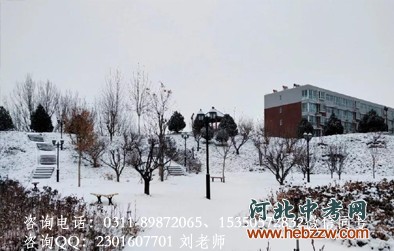 石家庄通用交通学校雪后后花园景.png