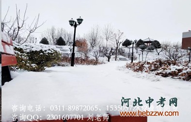 石家庄通用交通学校雪后长廊.png