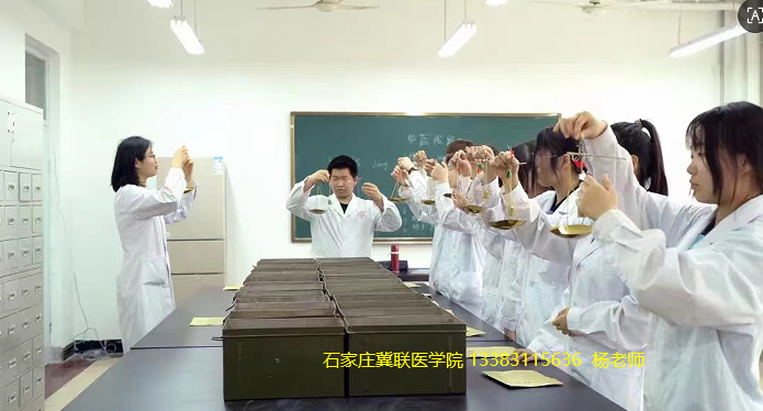 石家庄白求恩医学院医学检验技术.png 石家庄白求恩医学院医学检验技术.png