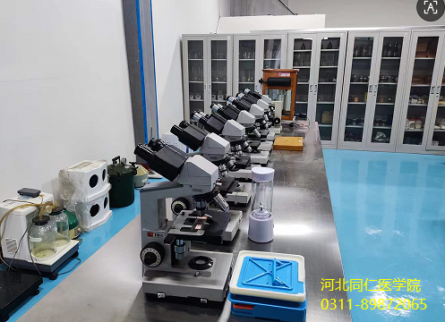 河北同仁医学院药剂.png 河北同仁医学院药剂.png